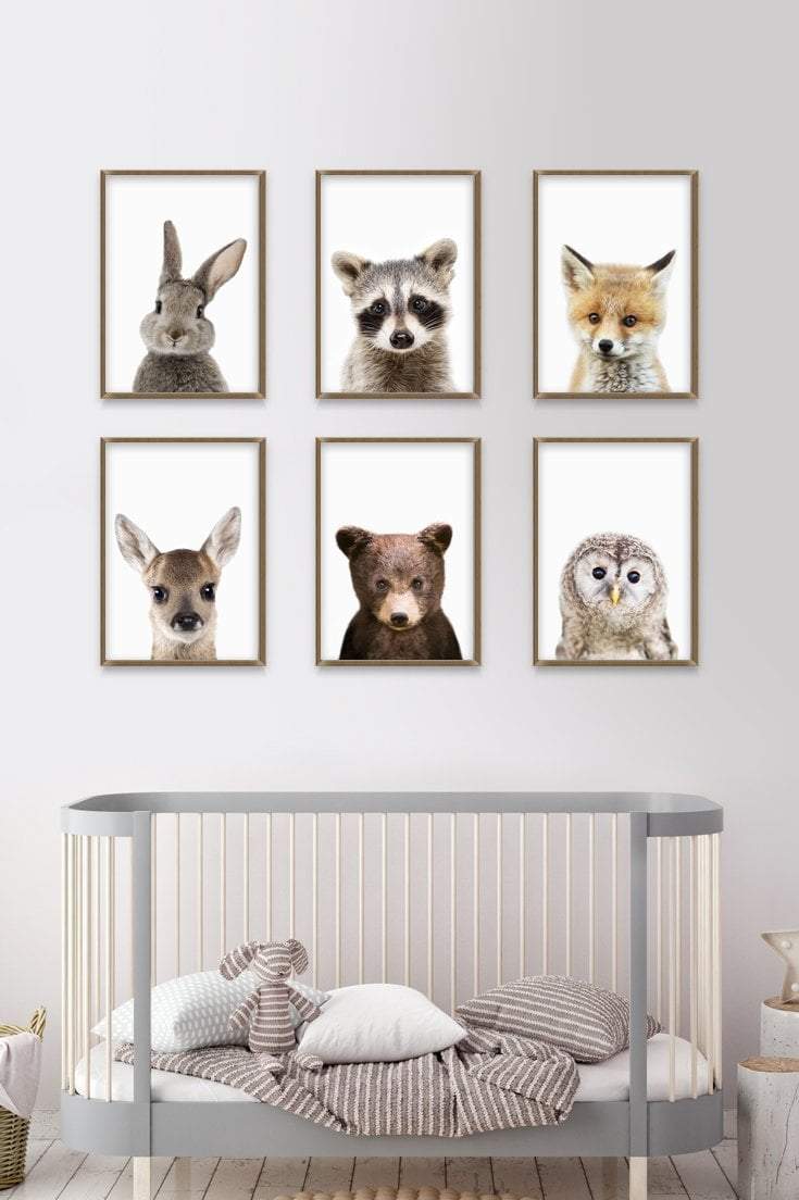 baby_animals_nursery_art_1200x1200.jpg?v=1628260504