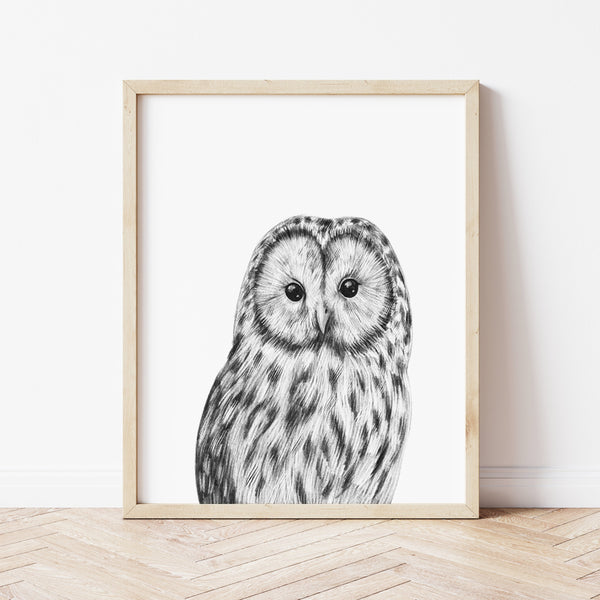 Woodland Nursery Prints | Baby Owl Print | Ollie + Hank