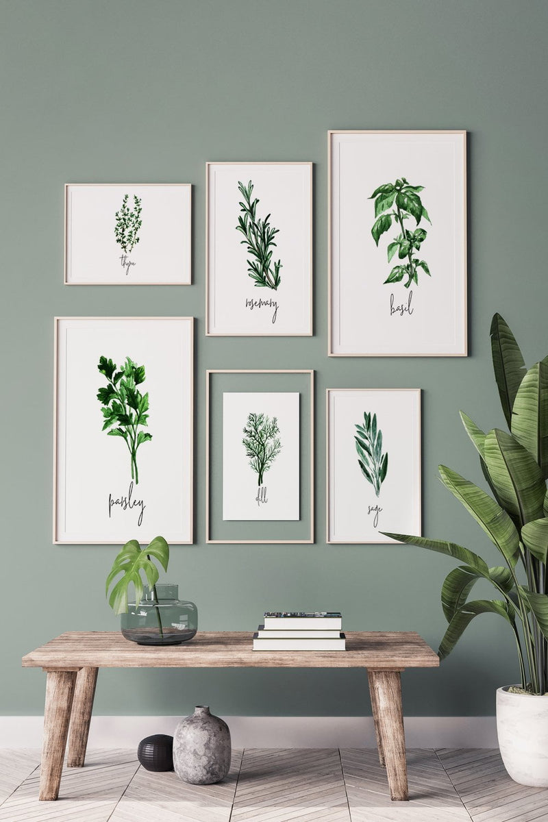 Herbs Set of 4 Watercolor Painting, Kitchen Prints, Sage Thyme