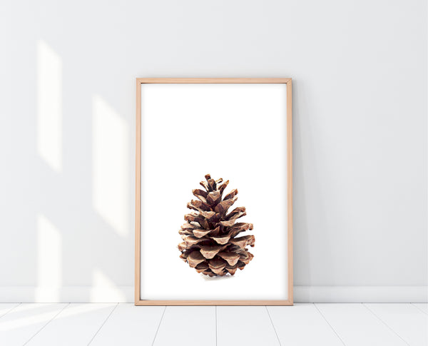 Pine Cone Wall Art | Scandinavian Wall Art | Ollie + Hank