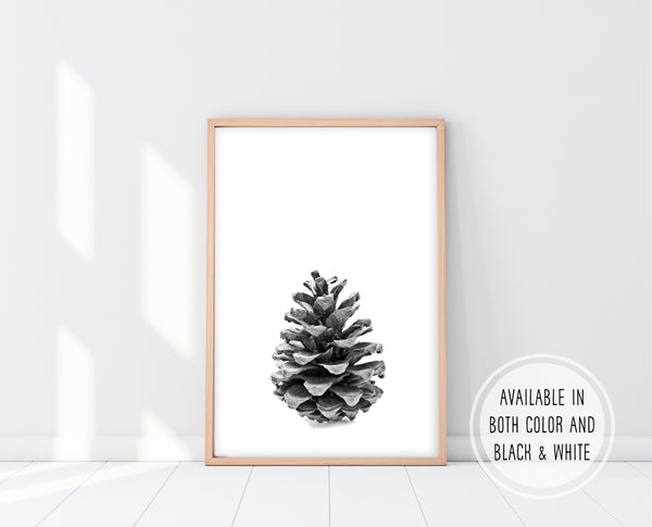 Scandinavian Wall Art | Pine Cone Wall Art | Ollie + Hank