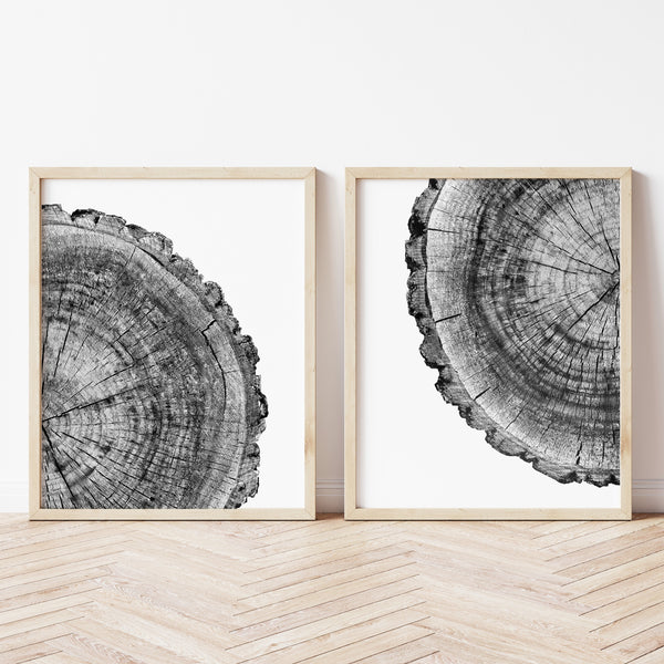 Tree Ring Art | Tree Ring Print Set | Ollie + Hank