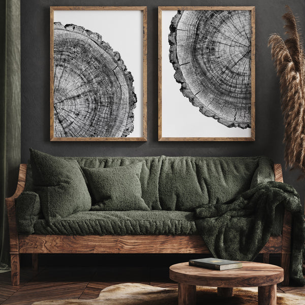 Tree Ring Art | Tree Ring Print Set | Ollie + Hank