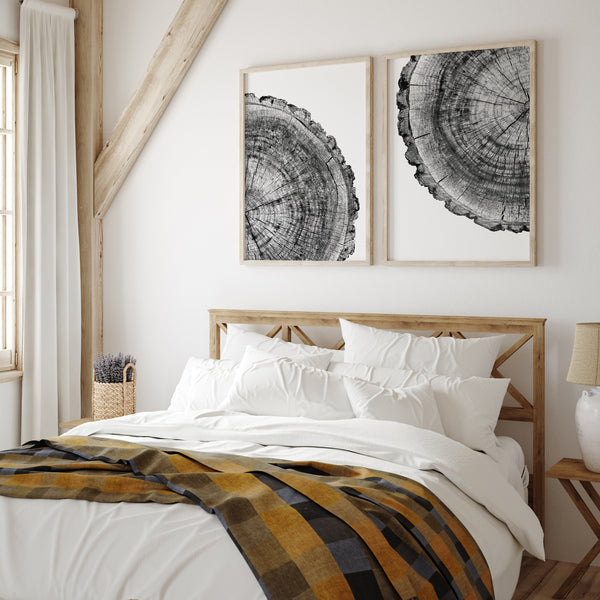 Tree Ring Art | Tree Ring Print Set | Ollie + Hank