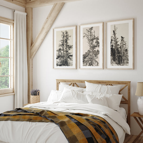 Rustic Wall Art | Vintage Tree Illustration | Ollie + Hank
