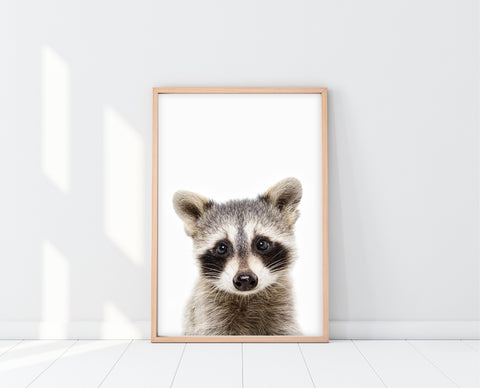 Woodland Creatures Nursery | PeekABoo Raccoon Print | Ollie + Hank