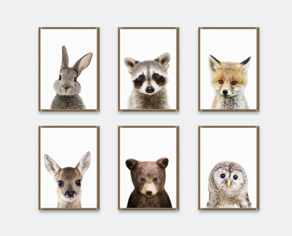 Woodland Nursery Decor | PeekABoo Woodland Animals Collection | Ollie + Hank
