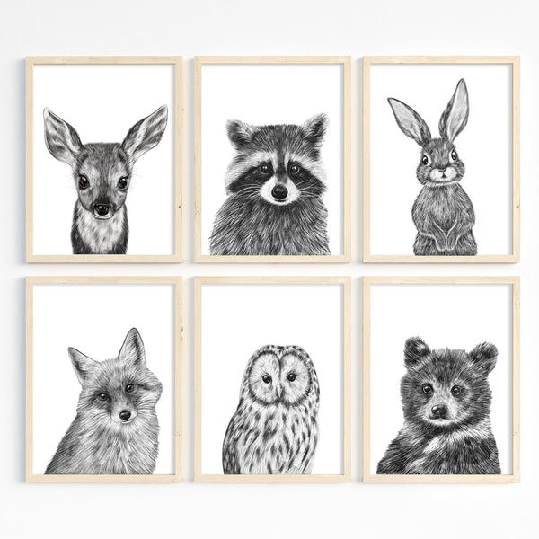 Woodland Nursery Prints | Woodland Baby Animals Collection | Ollie + Hank