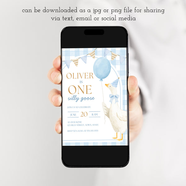 One Silly Goose | First Birthday Invitation For Boy | Ollie + Hank