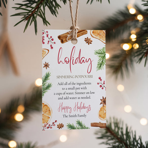 Holiday Simmer Pot | Simmer Pot Gift Tag | Ollie + Hank