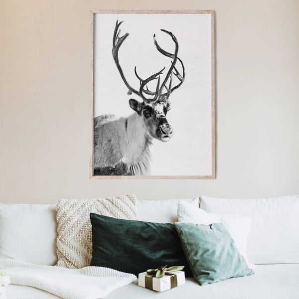Reindeer Wall Art | Blitzen Reindeer Print | Ollie + Hank
