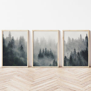 Forest Print Set | Misty Forest Wall Art | Ollie + Hank