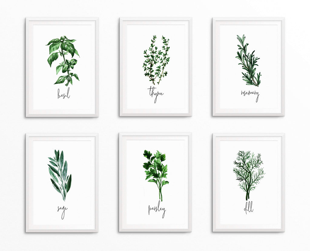 Herb Prints For Kitchen | Botanical Prints | Ollie + Hank
