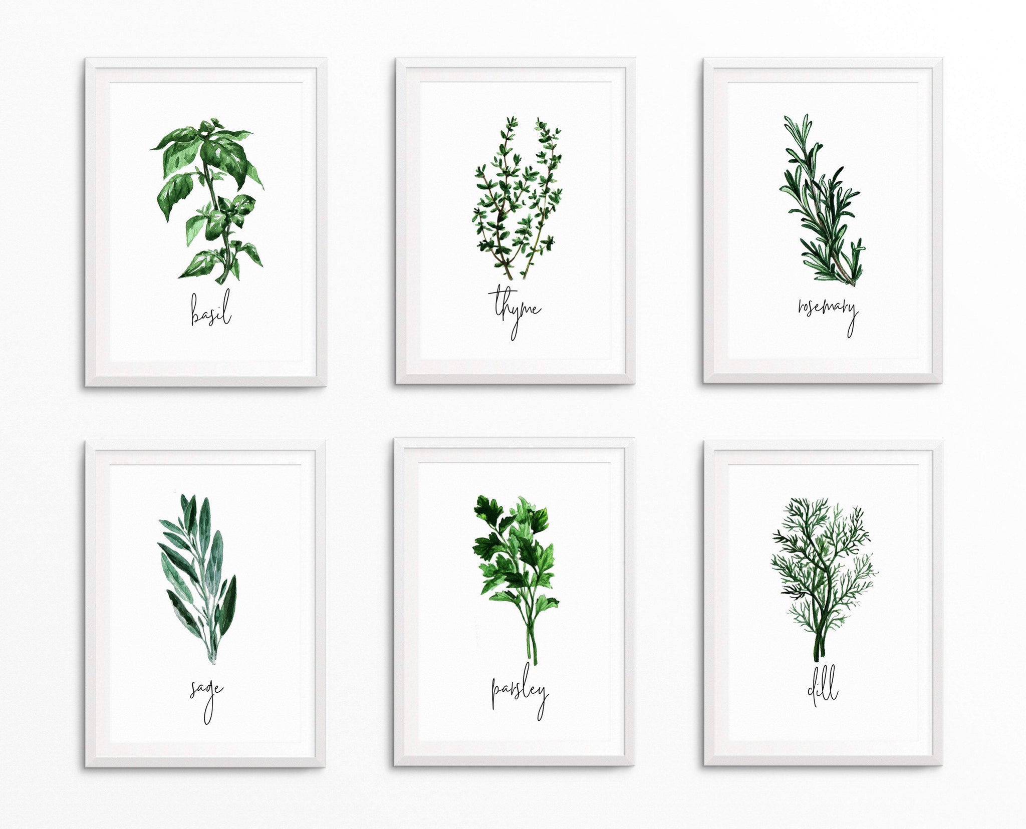 Herb Prints For Kitchen | Botanical Prints | Ollie + Hank