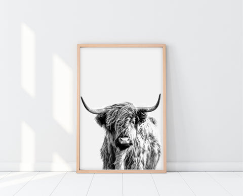 Highland Cow Print | Blue Steer