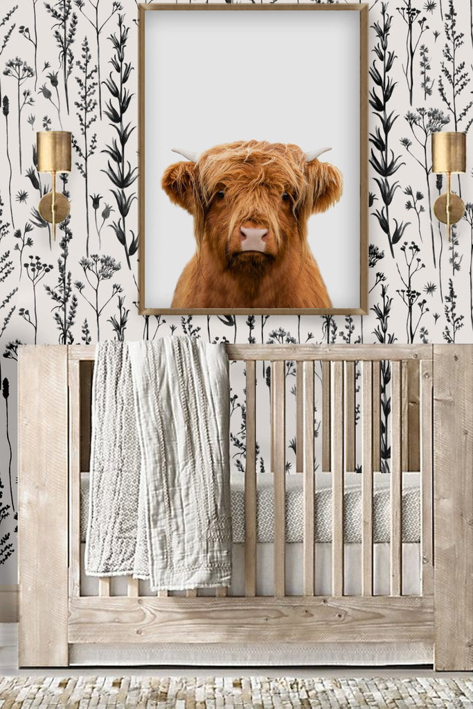 Baby Highland Cow, Posters, Art Prints, Wall Murals