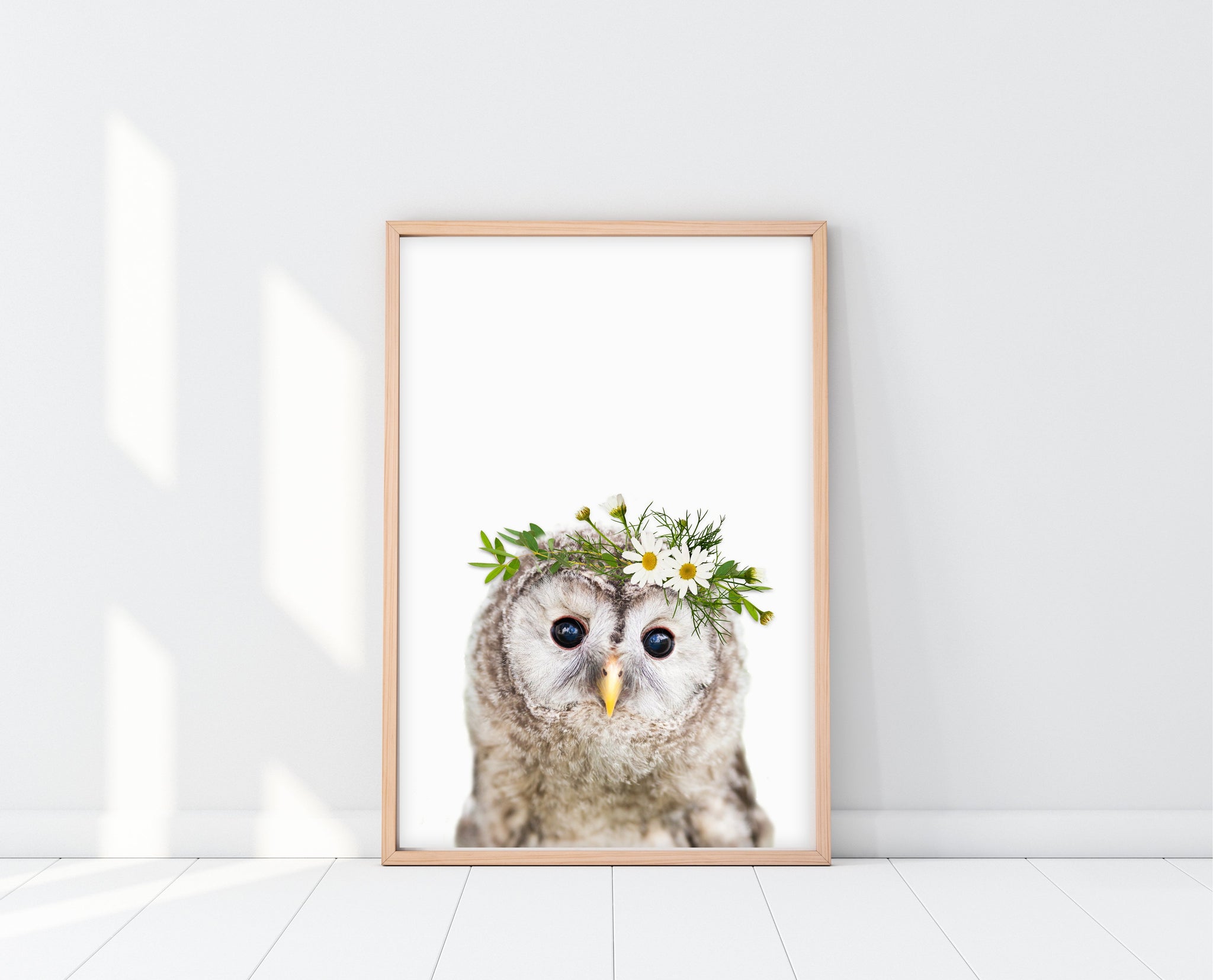 owl pictures to print