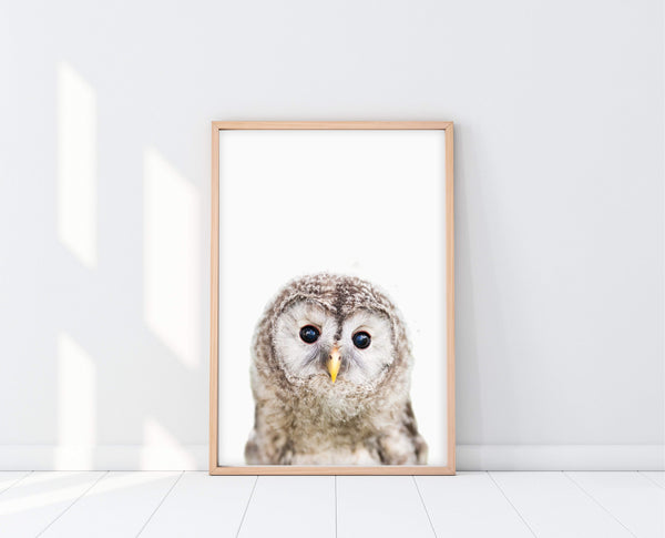 Owl Nursery Decor | PeekABoo Owl Print | Ollie + Hank