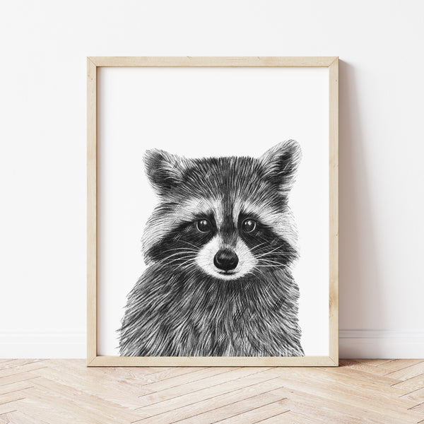 Woodland Nursery Prints | Raccoon Wall Art | Ollie + Hank