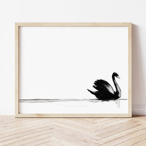 Swan Art | Swan Queen Print | Ollie + Hank