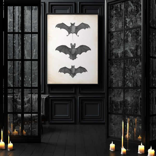 Goth Wall Art | Vintage Bat Illustration | Ollie + Hank